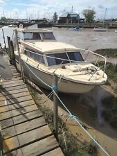 Birchwood cabin cruiser for sale  HORNCHURCH
