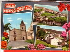 Cartolina mangone viaggiata usato  Italia
