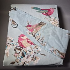 Pair beautiful birds for sale  NORWICH