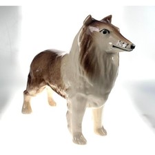 Large rough collie for sale  CONSETT