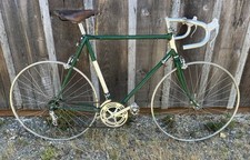 Raleigh professional racing for sale  Bow