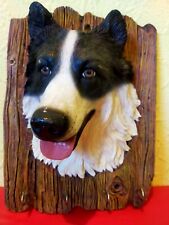 Boarder collie leash for sale  MANCHESTER