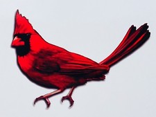 Forest river cardinal for sale  Middlebury