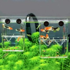Aquarium fish breeding d'occasion  Expédié en Belgium
