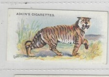 Adkin sons cigarette for sale  KING'S LYNN