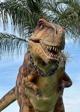 Professional dinosaur rex for sale  Menifee