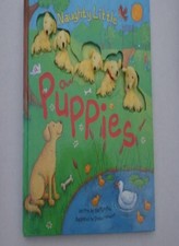 Naughty little puppies for sale  UK
