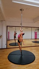 Pole xpert pro for sale  GODALMING