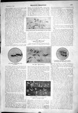 Old 1905 scientific for sale  UK