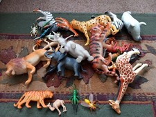 Wild animals sealife for sale  COVENTRY