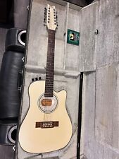 Washburn sbf string for sale  Duluth