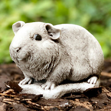 Lovely guinea pig for sale  DAGENHAM