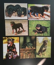 Set lot verschiedenen gebraucht kaufen  Borna