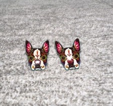Boston terrier dog for sale  Pooler