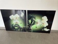 Glasbilder wandbild gebraucht kaufen Glasbilder wandbild gebraucht kaufen  Steinfeld