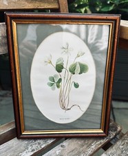 familiar wild flowers hulme for sale familiar wild flowers hulme for sale LONDON