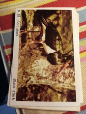 Pt3 trade card for sale  LEICESTER