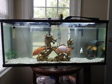 Gallon fish tank for sale  Oxford