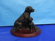 black labrador puppies for sale black labrador puppies for sale SWINDON