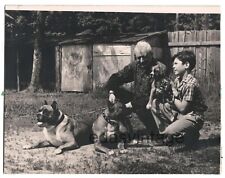 Dog family dog for sale  Seattle