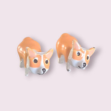 Adorable corgi dog for sale  Bowling Green