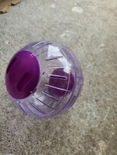 Purple hamster medium for sale  GLASGOW