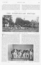 Fox hunting meet for sale  GLASGOW