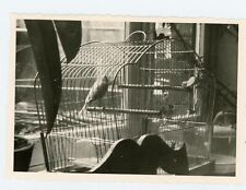 Photo amateur photographie d'occasion  Avignon