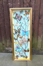 Vintage large taxidermy for sale  SWINDON
