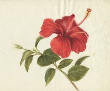 Hibiscus flower watercolor d'occasion  Expédié en Belgium
