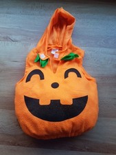 Kinder kostüm kürbis gebraucht kaufen  Rheine