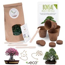 Zestaw startowy bonsai zestaw do uprawy w zestawie GRATIS ebook - Pustynna róża + mamut góra, używany na sprzedaż  Wysyłka do Poland