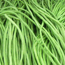 Yard long bean d'occasion  Expédié en France