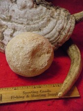 Game stone discoidal for sale  Racine