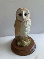 Leonardo barn owl for sale  SHANKLIN