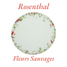 Rosenthal brillance fleurs gebraucht kaufen  Aichwald