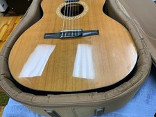 Taylor ns24ce ltd for sale  Fairview