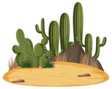 Cacti special sp for sale  KNARESBOROUGH