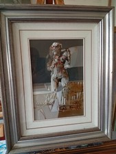 Vanni saltarelli donna usato  Busto Arsizio