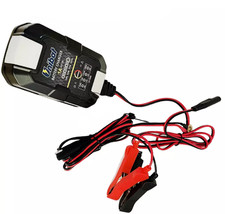 Mantenitore carica batteria usato  Brusciano