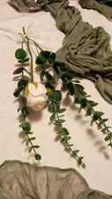 Set hochzeit anlässe gebraucht kaufen  Löbau
