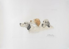 leon danchin d'occasion leon danchin d'occasion Brussel