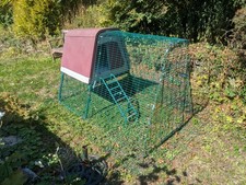 chicken coop run chickens for sale chicken coop run chickens for sale SHAFTESBURY