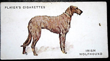 Irish wolfhound vintage for sale Irish wolfhound vintage for sale  DERBY