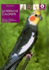 Perruche calopsitte pierre d'occasion  France