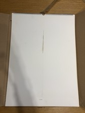 calendario pirelli usato calendario pirelli usato  San Mauro Torinese