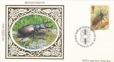 Insects stag beetle for sale Insects stag beetle for sale  SOUTHALL