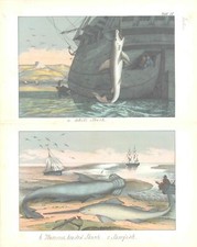 C1840 antique print for sale  ASHFORD