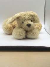 Aurora golden retriever for sale  Dayton