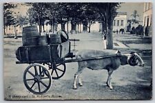 São Miguel~São Miguel Açores Portugal~Barris em Carrinho de Ovelhas~Carrinho de Ovelhas comprar usado  Enviando para Brazil